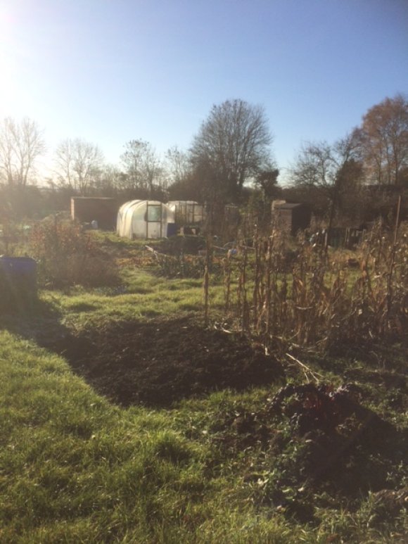 Allotments