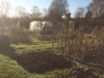 Image: Allotments